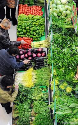 東北黑龍江今日新鮮蔬菜水果零售價格表