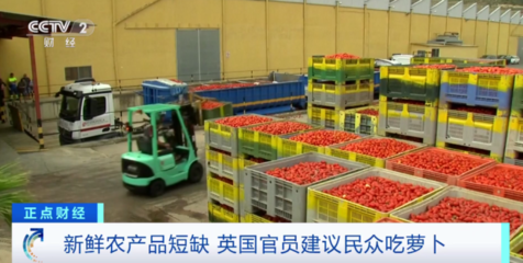 英國蔬菜短缺風波 從“吃蘿卜”建議看供應鏈脆弱與民生焦慮