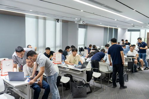 芯?？萍际讓肂MS芯片應用開發技術交流日紀實